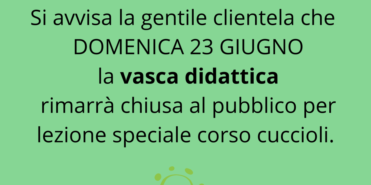 Avviso