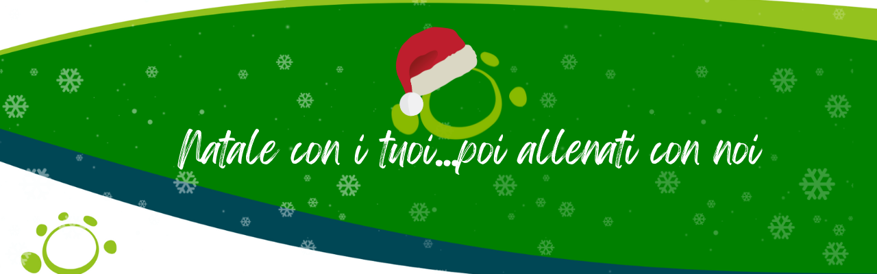 Header Promo